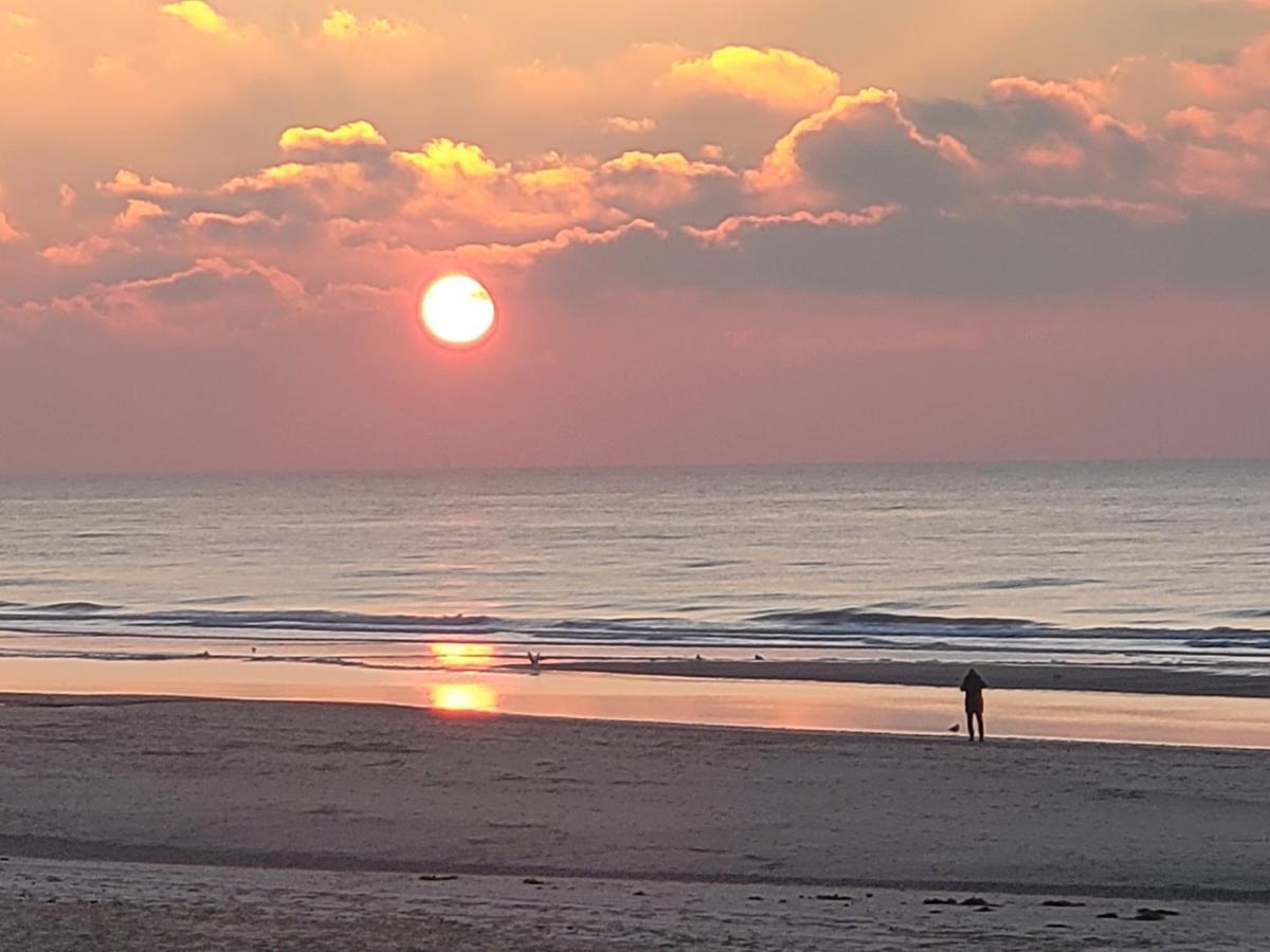 Pension Canberra Bergen aan Zee Dış mekan fotoğraf